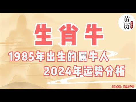 2024牛年運程1985 五行派八字規則